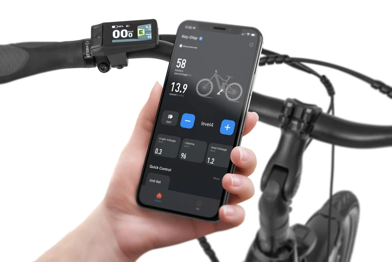 Ecobike LX100 Automatic/ Manual 2026 | City E-Bike | Tiefeinsteiger | Bafang 70Nm