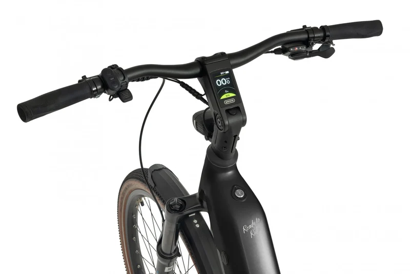 Ecobike FLEX SCHWARZ/TITAN- 2026 Trekking FULLY Power-Bike mit Bafang 100Nm Drehmoment und 900 Wh Akku
