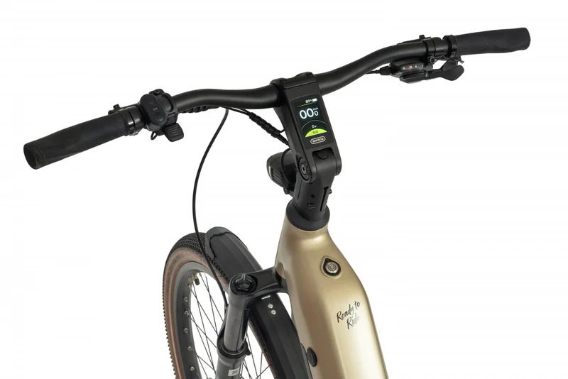 Ecobike FLEX SCHWARZ/TITAN- 2026 Trekking FULLY Power-Bike mit Bafang 100Nm Drehmoment und 900 Wh Akku