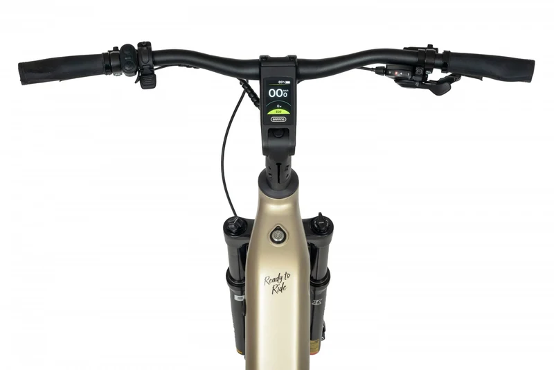Ecobike FLEX SCHWARZ/TITAN- 2026 Trekking FULLY Power-Bike mit Bafang 100Nm Drehmoment und 900 Wh Akku
