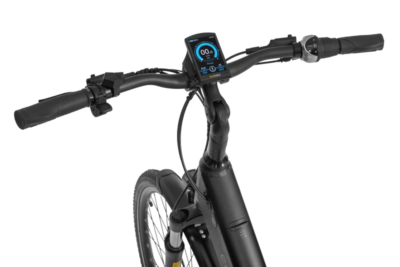 Ecobike LX Schwarz - City E-Bike Pedelec, Ananda 100Nm mit NABENSCHALTUNG