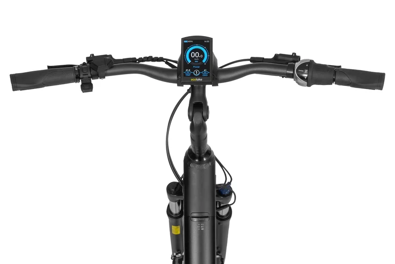 Ecobike LX Schwarz - City E-Bike Pedelec, Ananda 100Nm mit NABENSCHALTUNG