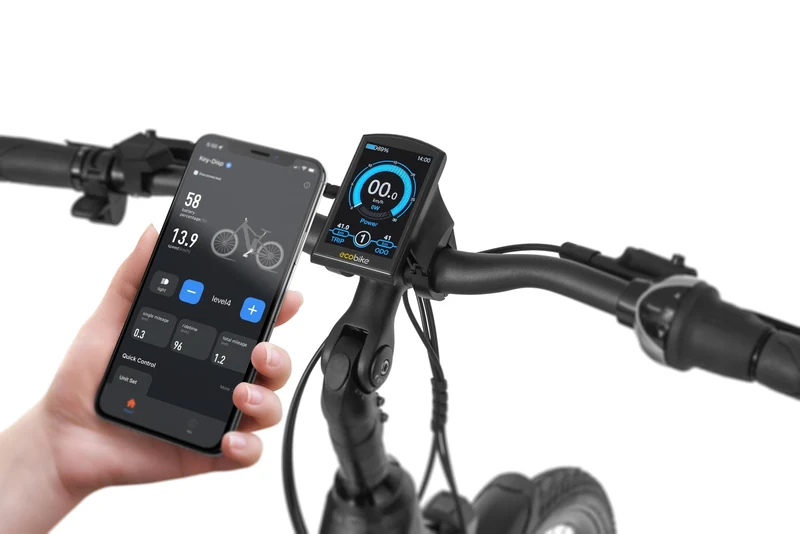 Ecobike LX Schwarz - City E-Bike Pedelec, Ananda 100Nm mit NABENSCHALTUNG