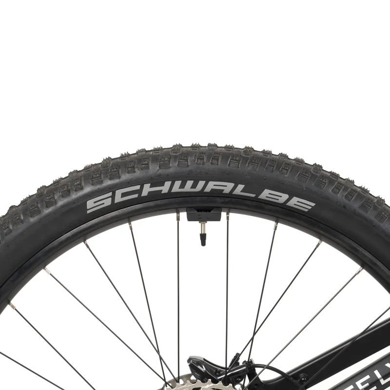Stelvio E-MTB Fully