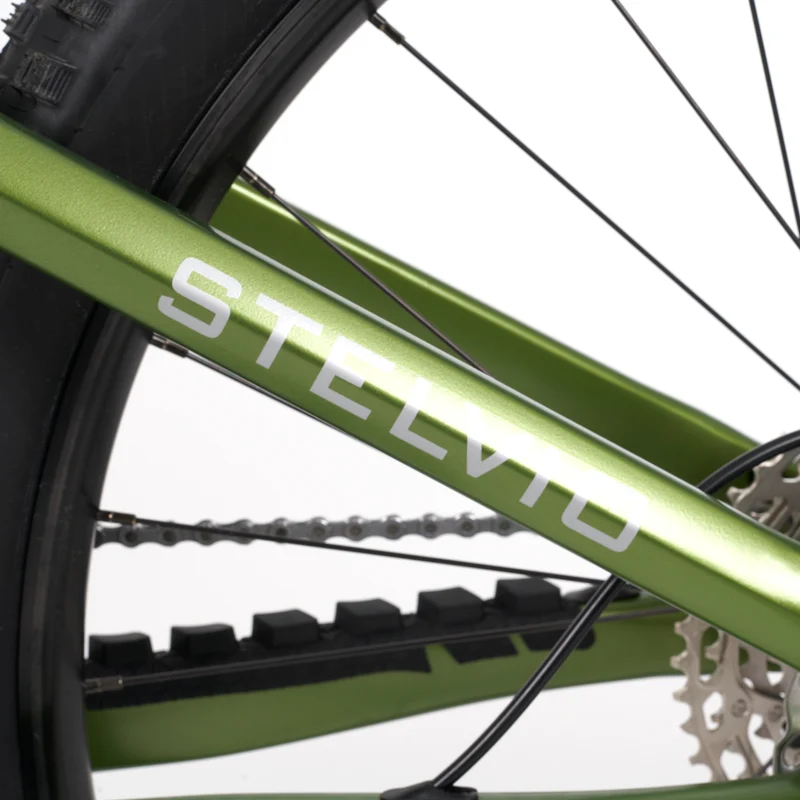 Stelvio E-MTB Fully