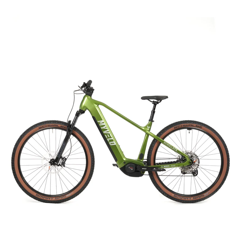 Himalaya E-MTB