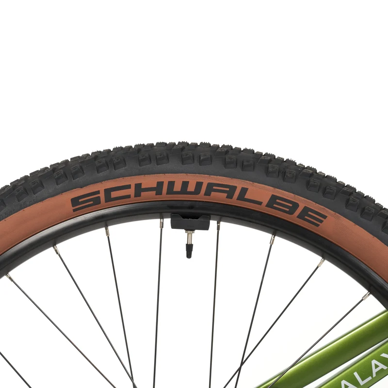 Himalaya E-MTB