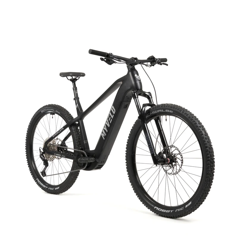 Himalaya E-MTB