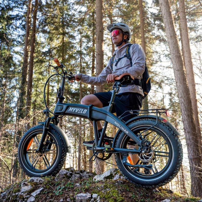 Molinar Elektro-Klapprad + Tragetasche
