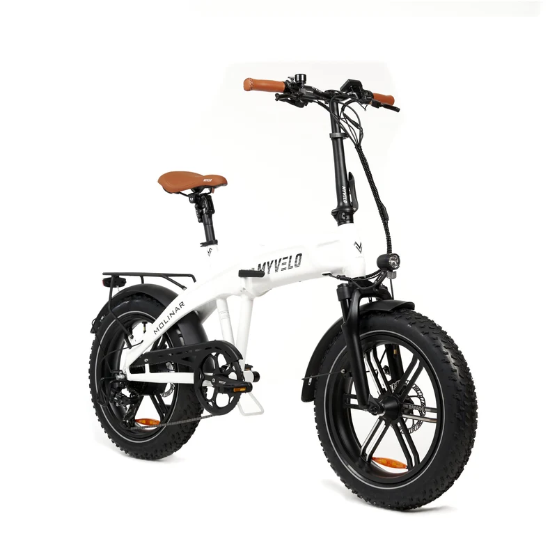 Molinar Elektro-Klapprad + Tragetasche