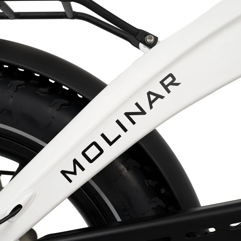 Molinar Elektro-Klapprad + Tragetasche