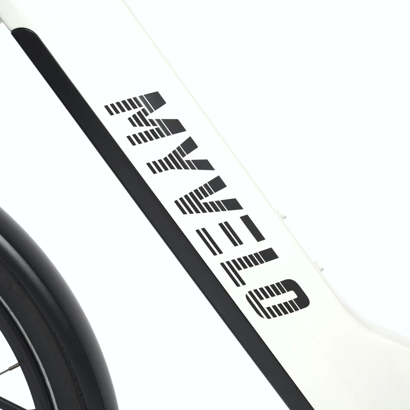 Nizza E-Bike Trekking