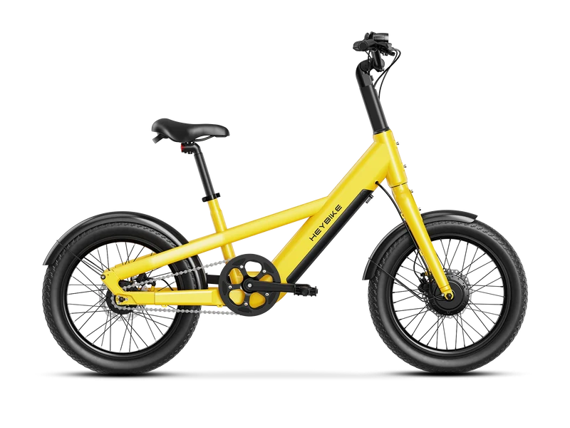 Heybike EC Compact City E-Bike