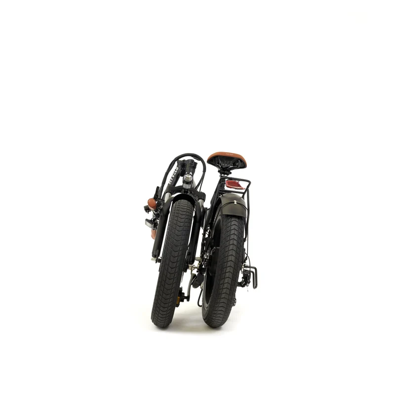 Palma E-Fatbike Klapprad + Tragetasche