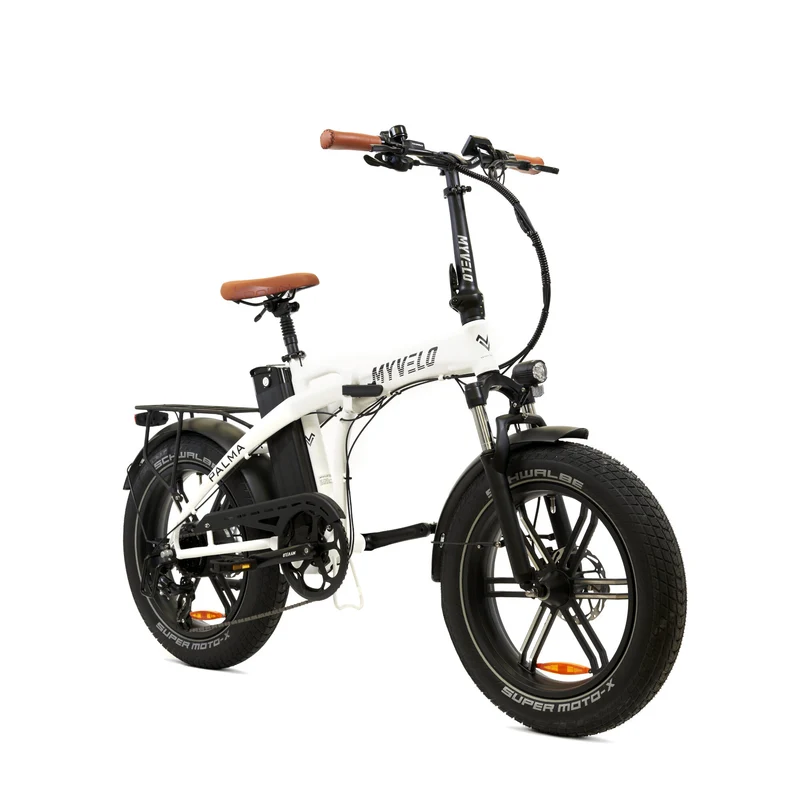 Palma E-Fatbike Klapprad + Tragetasche