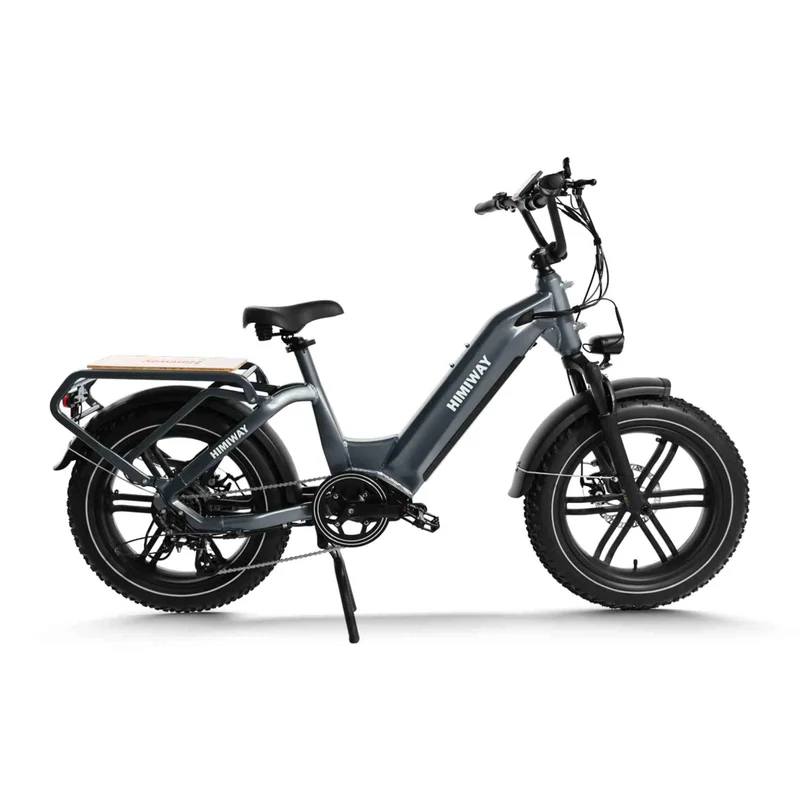 Himiway Big Dog - Elektrisches Lastenfahrrad